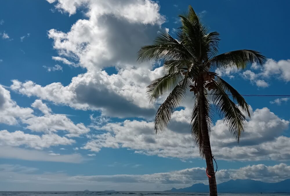 Nouveau ! Première édition en Guadeloupe en janvier 2025 ! Formation au massage taoïste sensuel du 8 au 12 janvier 2025 – Virginie MENNETEAU et François Michel REGA