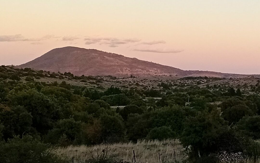 Stage : Vous pouvez encore nous rejoindre fin novembre